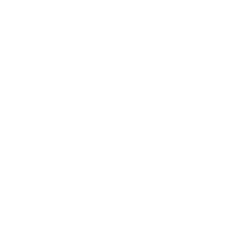 apple logo image